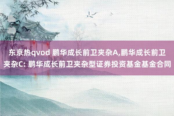 东京热qvod 鹏华成长前卫夹杂A,鹏华成长前卫夹杂C: 鹏华成长前卫夹杂型证券投资基金基金合同