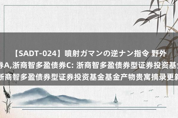 【SADT-024】噴射ガマンの逆ナン指令 野外浣腸悪戯 浙商智多盈债券A，浙商智多盈债券C: 浙商智多盈债券型证券投资基金基金产物贵寓摘录更新