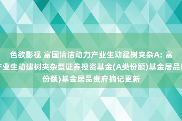 色欲影视 富国清洁动力产业生动建树夹杂A: 富国清洁动力产业生动建树夹杂型证券投资基金(A类份额)基金居品贵府摘记更新