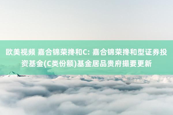 欧美视频 嘉合锦荣搀和C: 嘉合锦荣搀和型证券投资基金(C类份额)基金居品贵府撮要更新