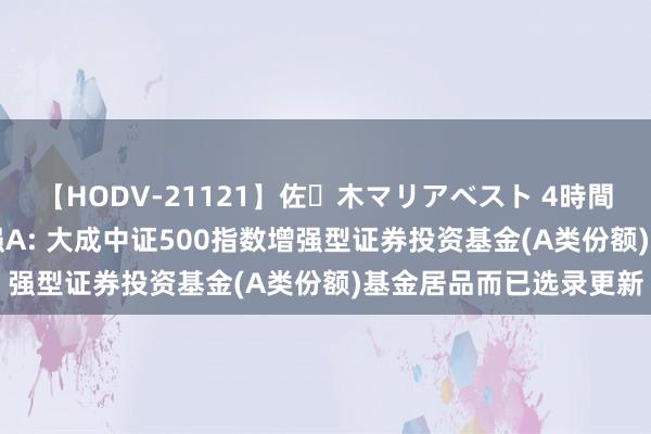 【HODV-21121】佐々木マリアベスト 4時間 大成中证500指数增强A: 大成中证500指数增