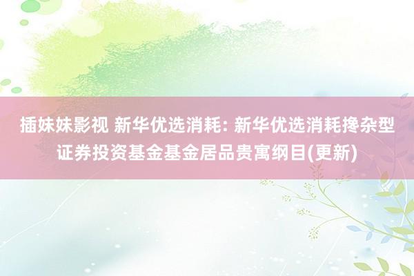 插妹妹影视 新华优选消耗: 新华优选消耗搀杂型证券投资基金基金居品贵寓纲目(更新)