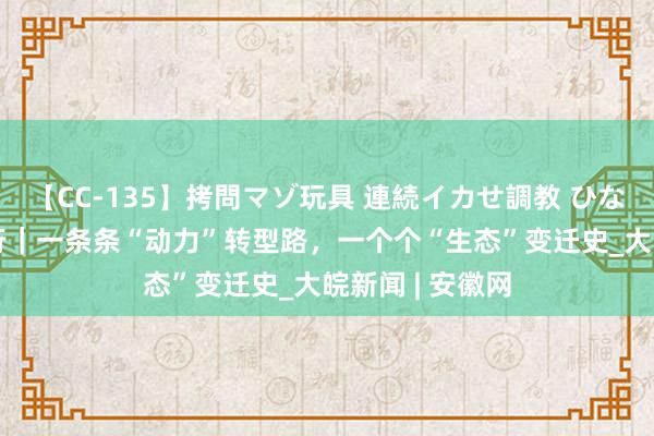 【CC-135】拷問マゾ玩具 連続イカせ調教 ひなの “碳”路先行｜一条条“动力”转型路，一个个“生