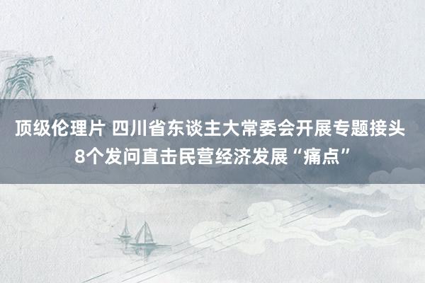 顶级伦理片 四川省东谈主大常委会开展专题接头 8个发问直击民营经济发展“痛点”