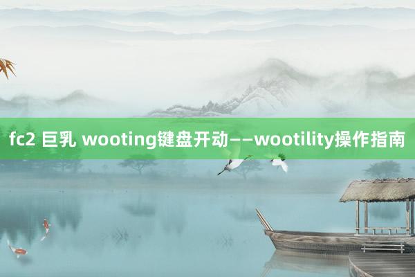 fc2 巨乳 wooting键盘开动——wootility操作指南