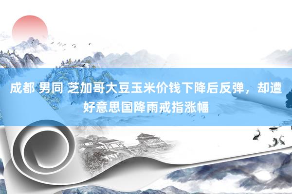 成都 男同 芝加哥大豆玉米价钱下降后反弹，却遭好意思国降雨戒指涨幅