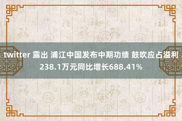 twitter 露出 浦江中国发布中期功绩 鼓吹应占溢利238.1万元同比增长688.41%