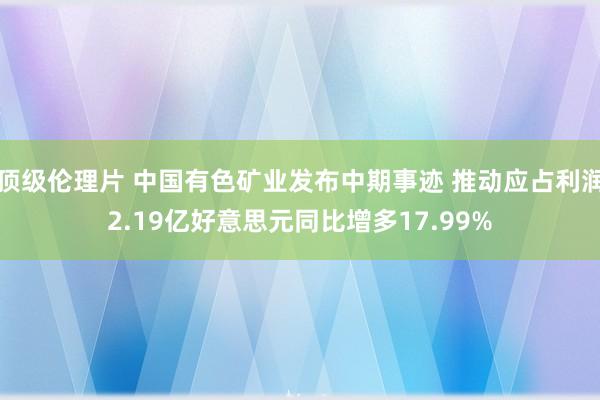 顶级伦理片 中国有色矿业发布中期事迹 推动应占利润2.19亿好意思元同比增多17.99%