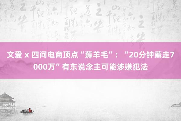 文爱 x 四问电商顶点“薅羊毛”：“20分钟薅走7000万”有东说念主可能涉嫌犯法