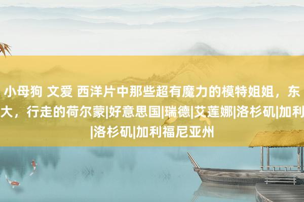 小母狗 文爱 西洋片中那些超有魔力的模特姐姐，东谈主瘦灯大，行走的荷尔蒙|好意思国|瑞德|艾莲娜|洛杉矶|加利福尼亚州