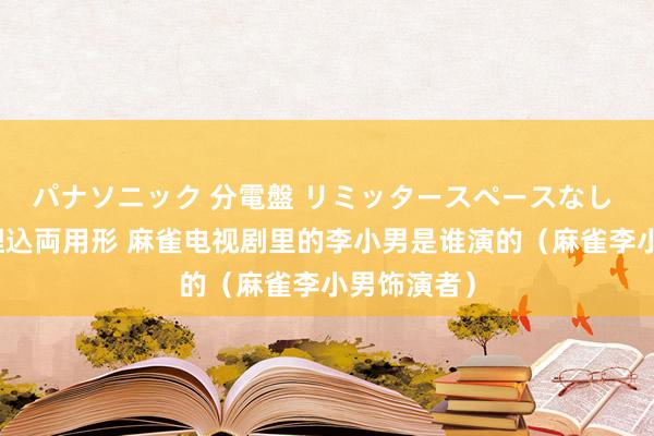 パナソニック 分電盤 リミッタースペースなし 露出・半埋込両用形 麻雀电视剧里的李小男是谁演的（麻雀李小男饰演者）