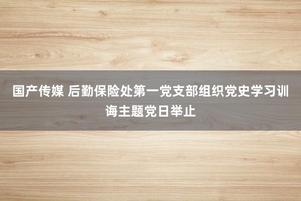 国产传媒 后勤保险处第一党支部组织党史学习训诲主题党日举止